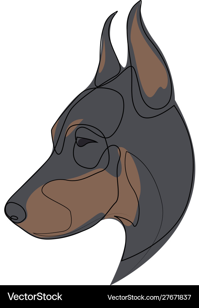 Continuous line doberman pinscher single Continuous line doberman pinscher single vector image