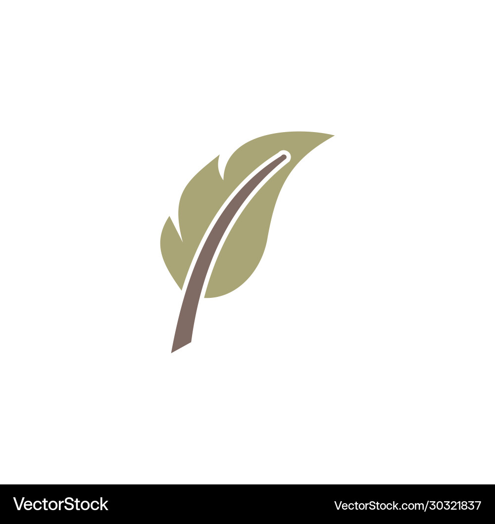 Feather icon on background for graphic and web Feather icon on background for graphic and web vector image
