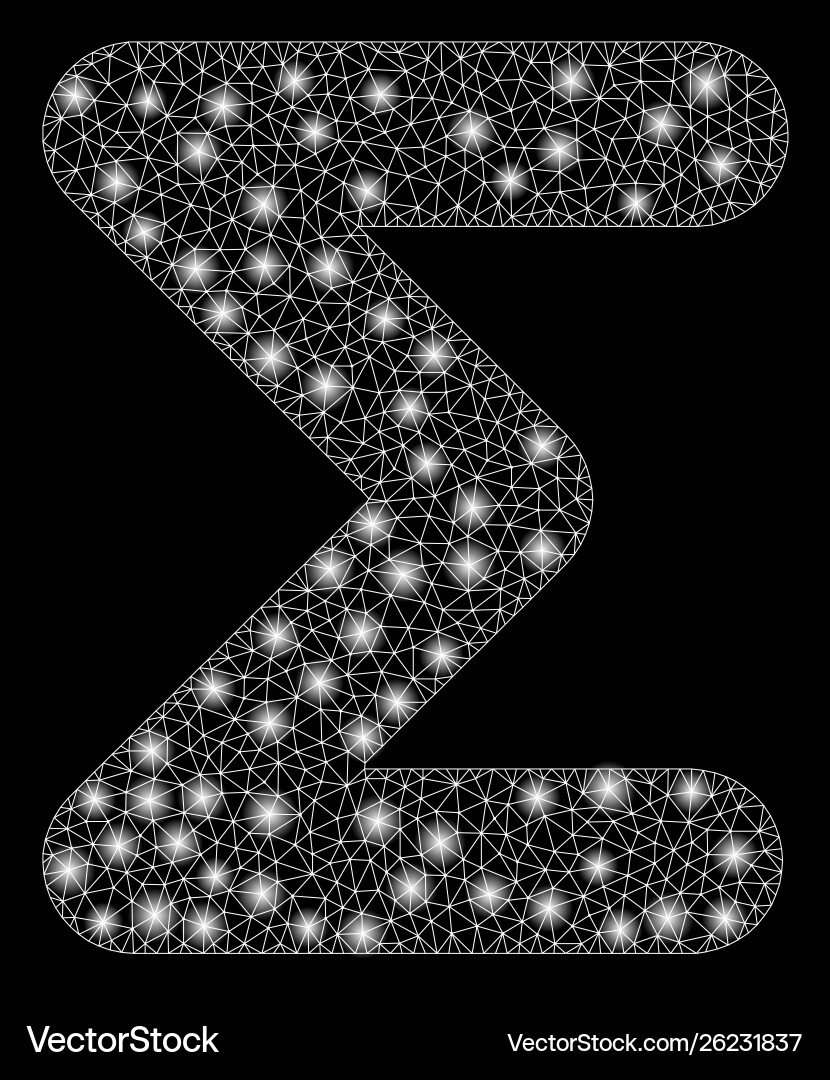 Flare mesh network sum with spots Flare mesh network sum with spots vector image