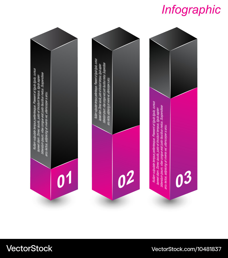 Infographic in the form of a 3d box vector image