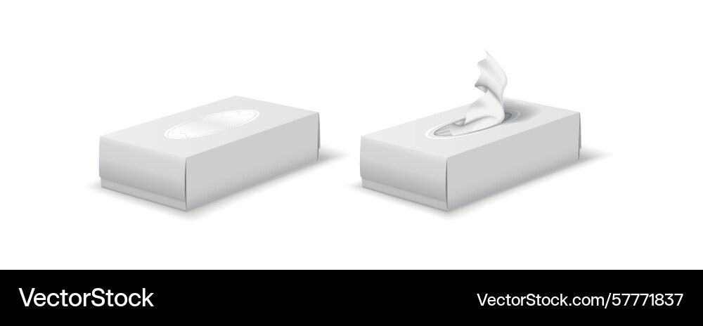 Minimalist tissue box design with visible Vector Image