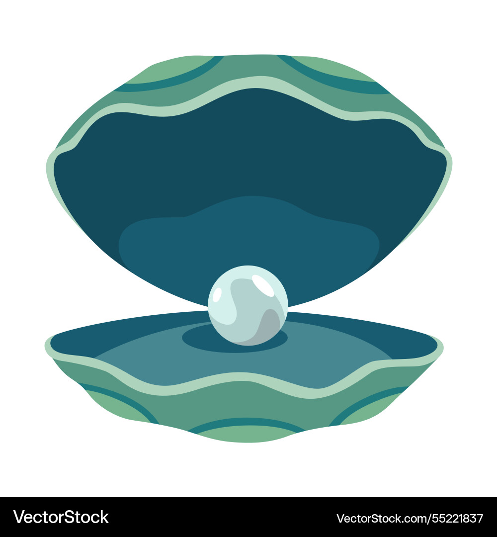 Pearl in seashell open scallop Vector Image