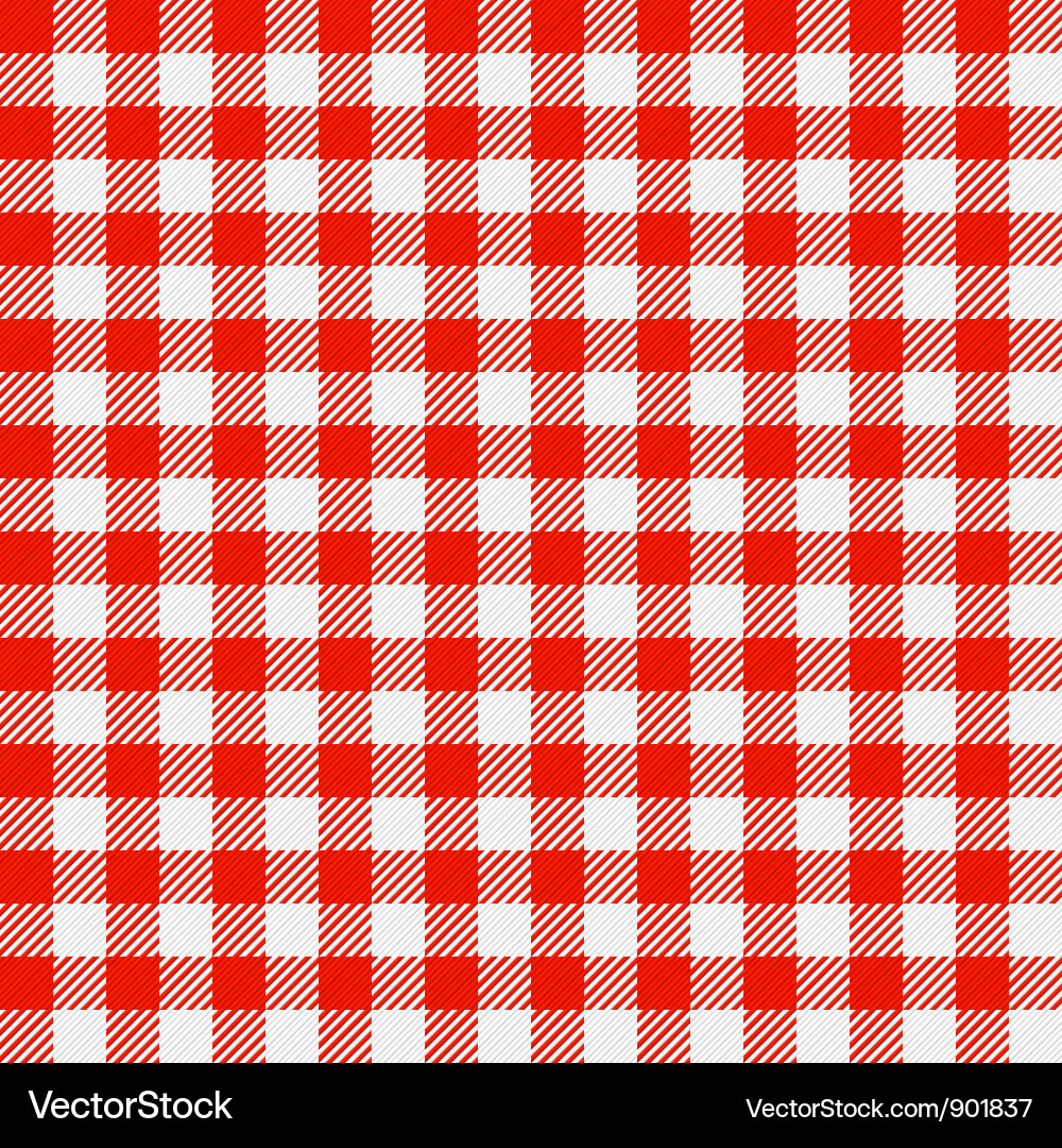 Red and White Checkered Tablecloth vector image