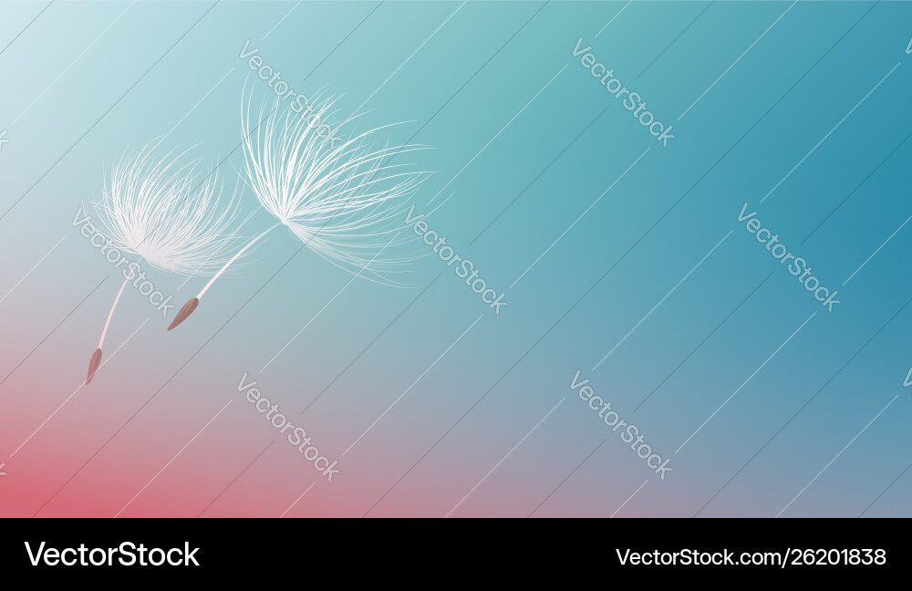Dandelion Seeds Against Blue Vector Image