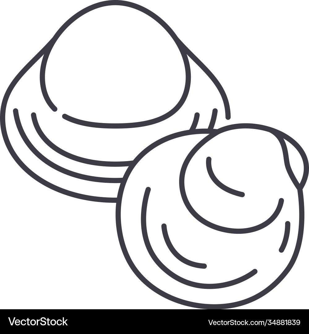 Clam icon linear isolated thin line Clam icon linear isolated thin line Vector Image