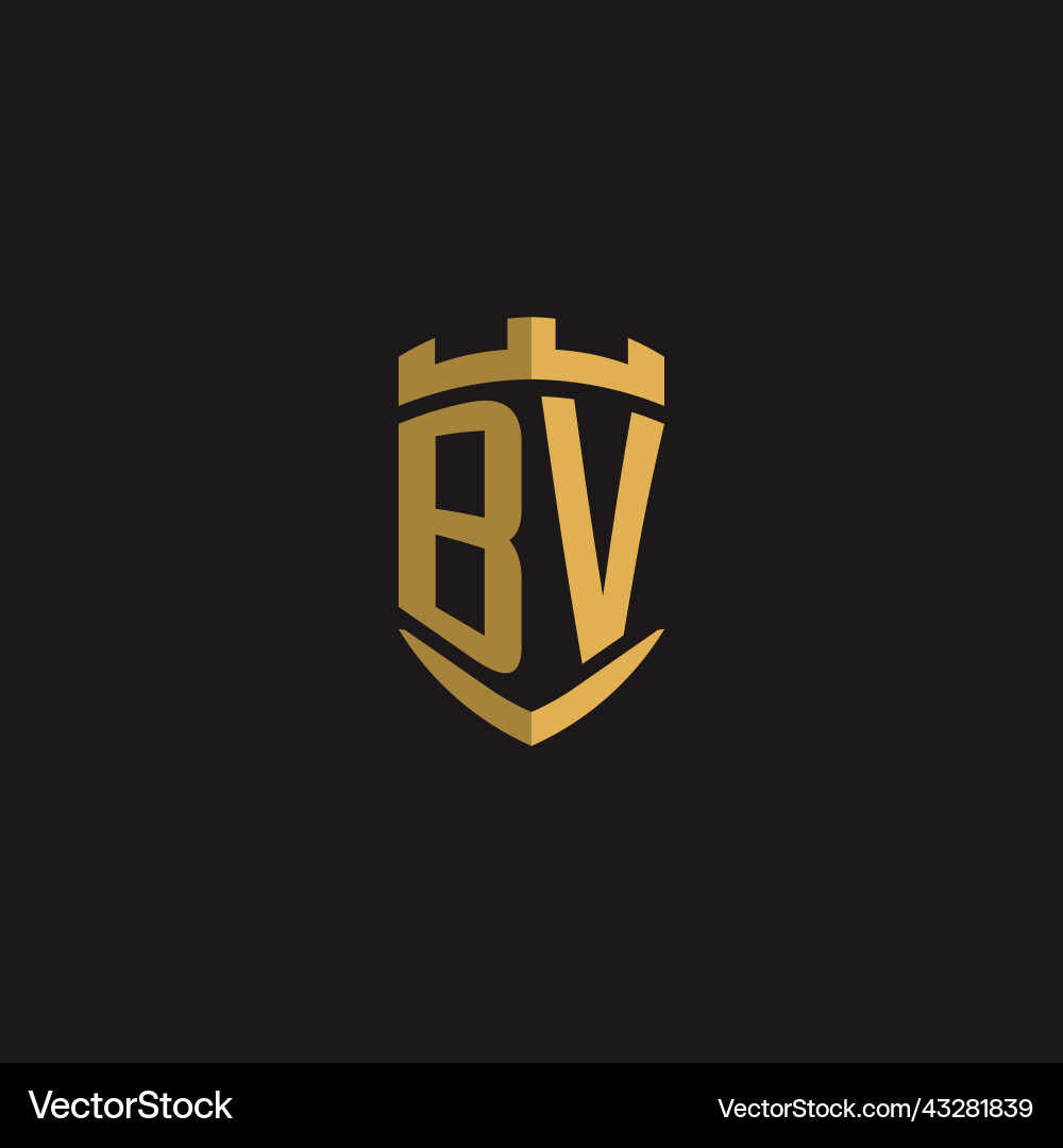 Initials bv logo monogram with shield style design Vector Image