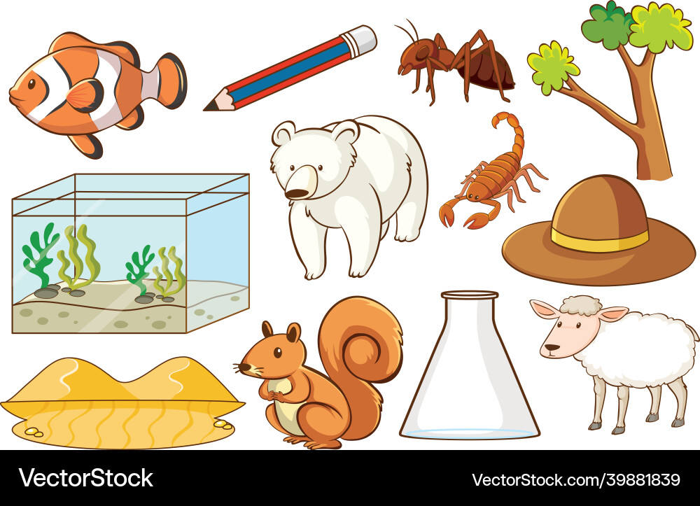 Set of various animals and objects Set of various animals and objects vector image