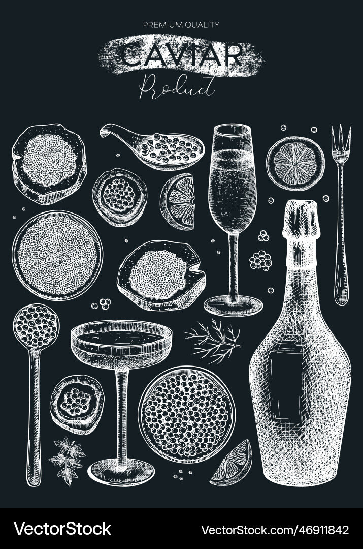 Caviar and champagne hand drawn menu vector image