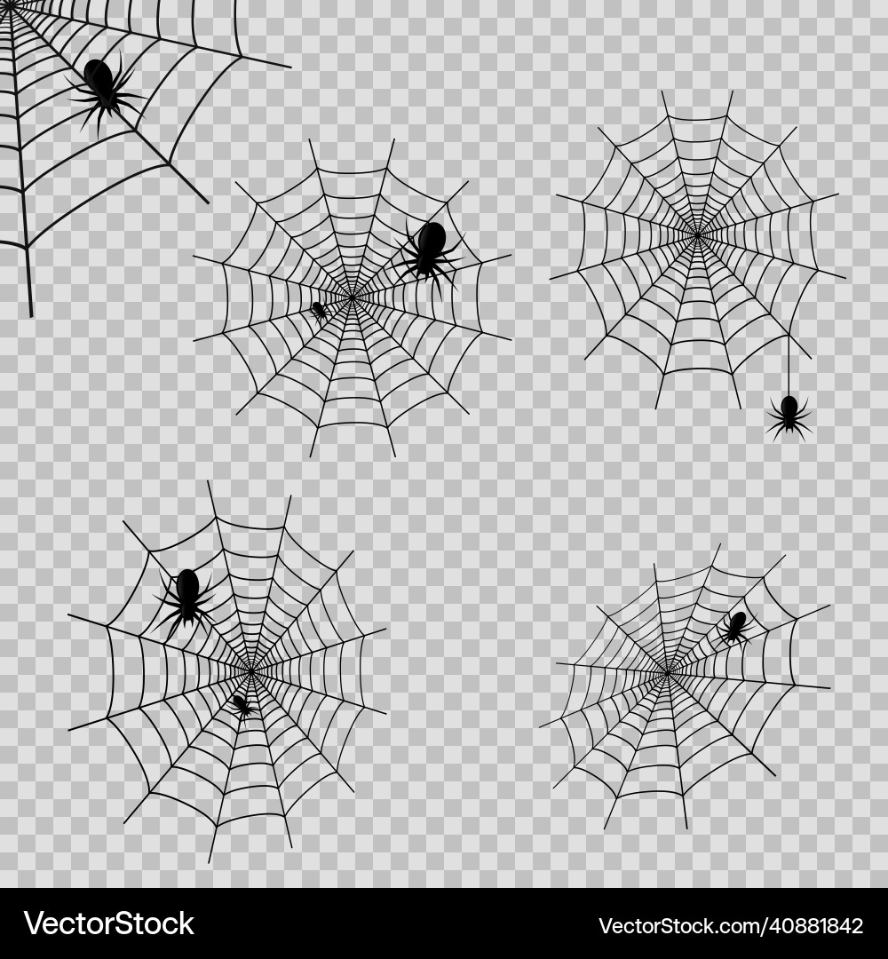 Set of deocrations with spider web and spdiers Set of deocrations with spider web and spdiers vector image