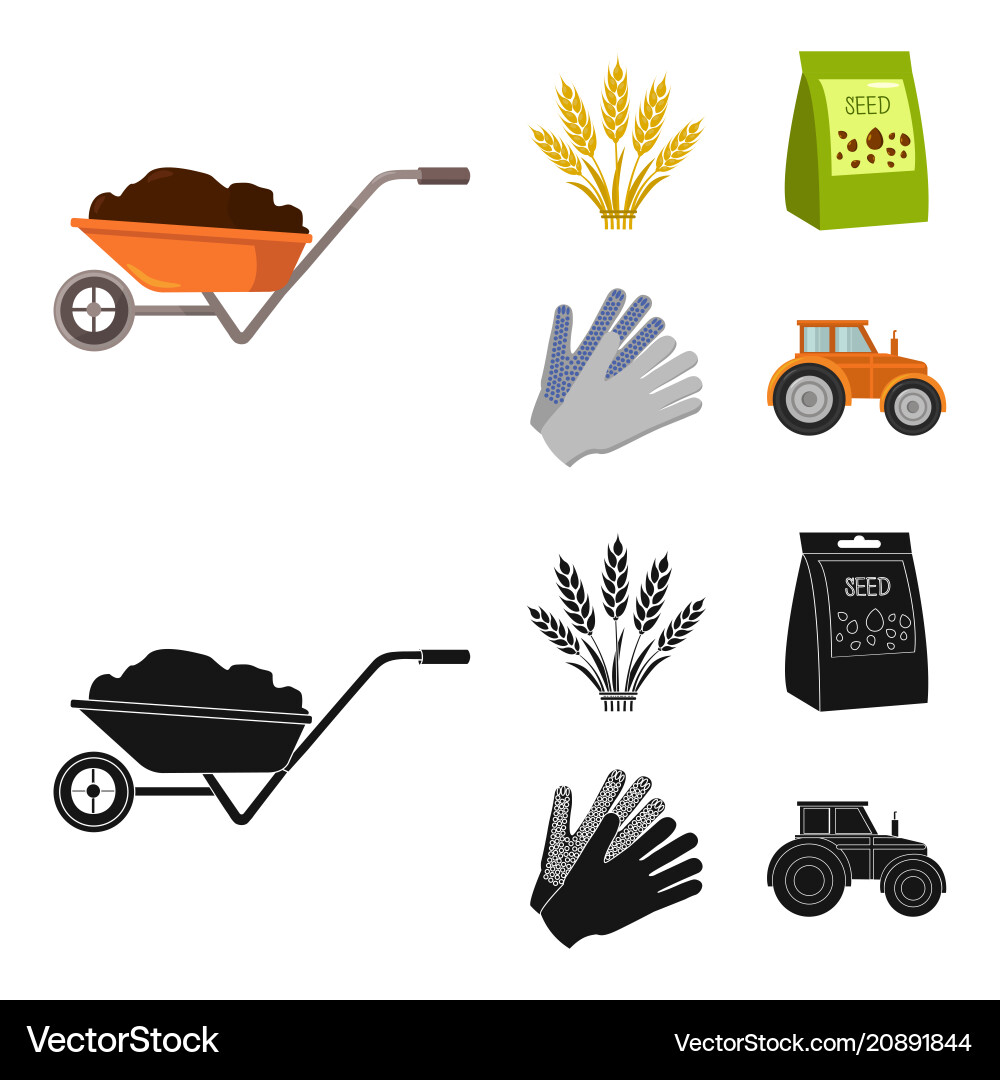 Spikelets of wheat a packet seeds tractor Vector Image