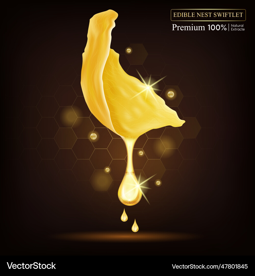 Edible nest swiftlet drop of saliva from Edible nest swiftlet drop of saliva from vector image