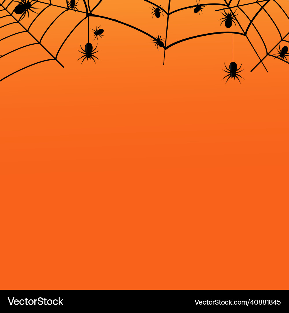 Halloween background with spider and cobweb Halloween background with spider and cobweb vector image