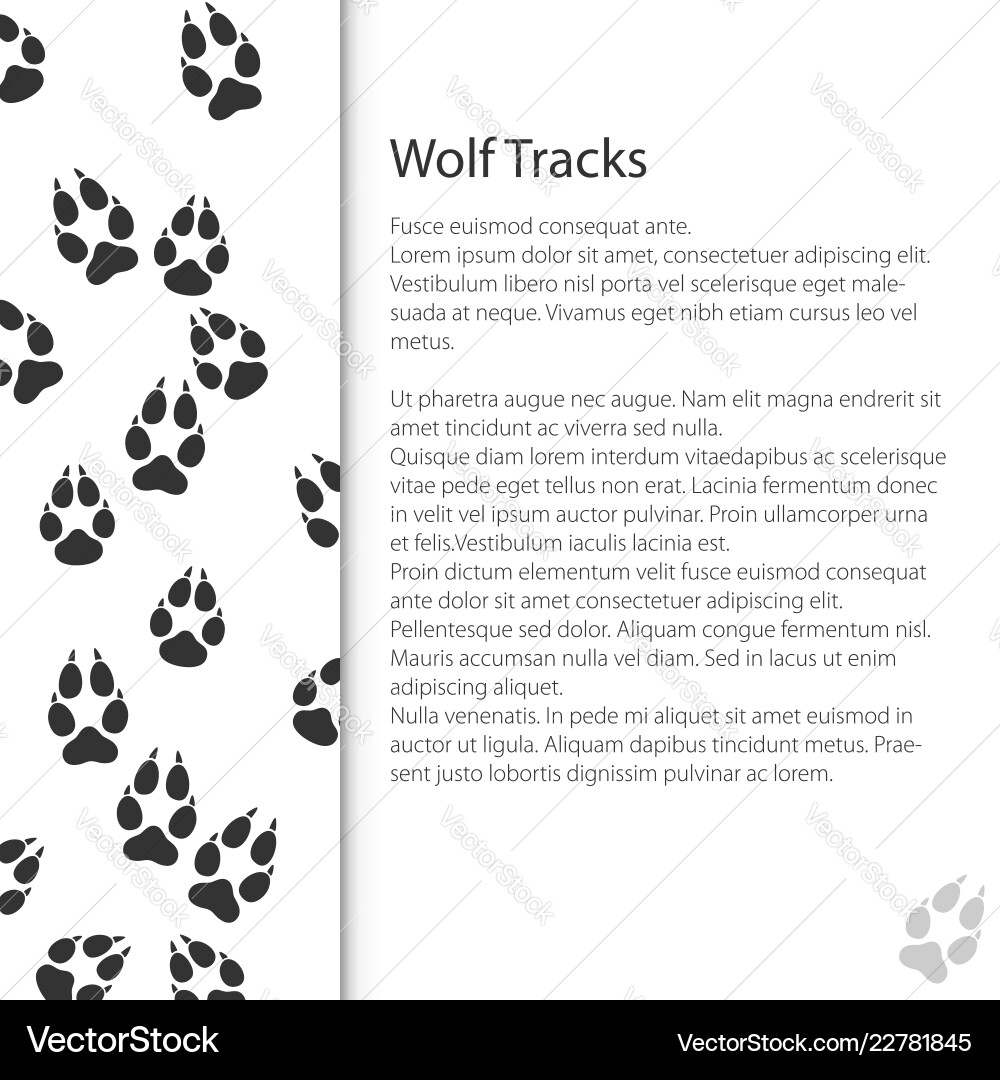 Wolf Tracks in Forest Vector Image