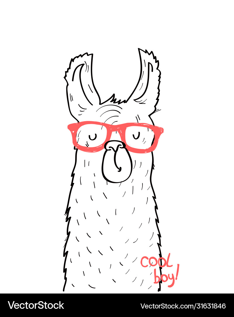 Cool llama t-shirt design Vector Image