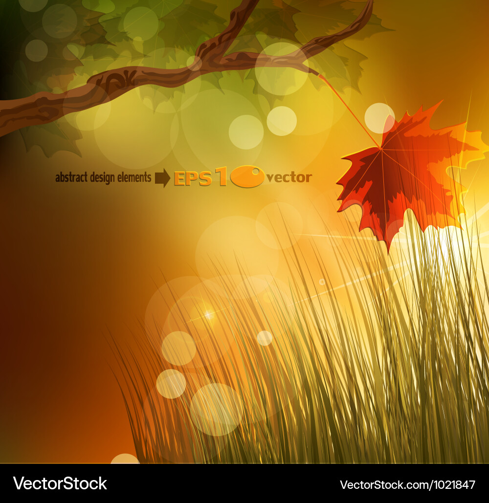 Background with maple leaf vector image