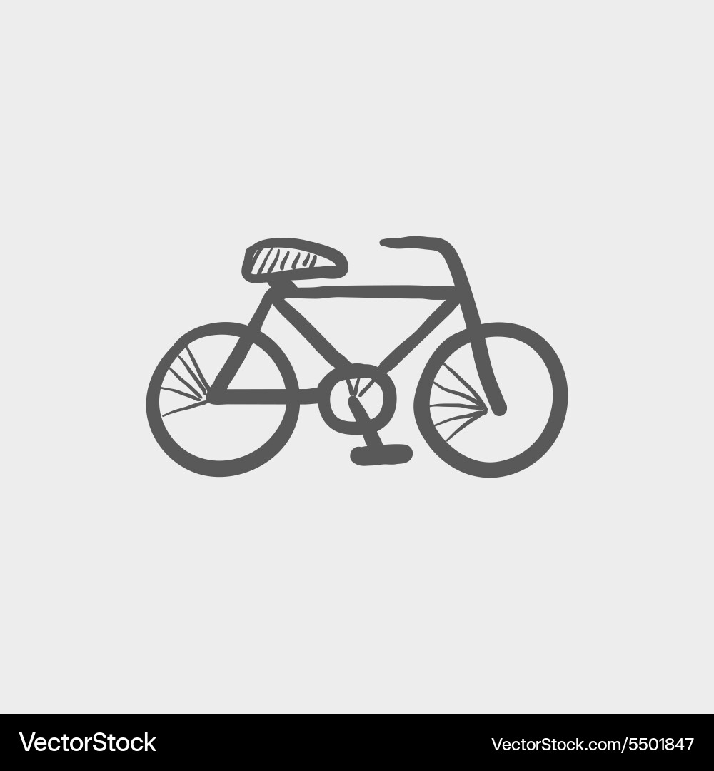 Bicycle sketch icon Vector Image