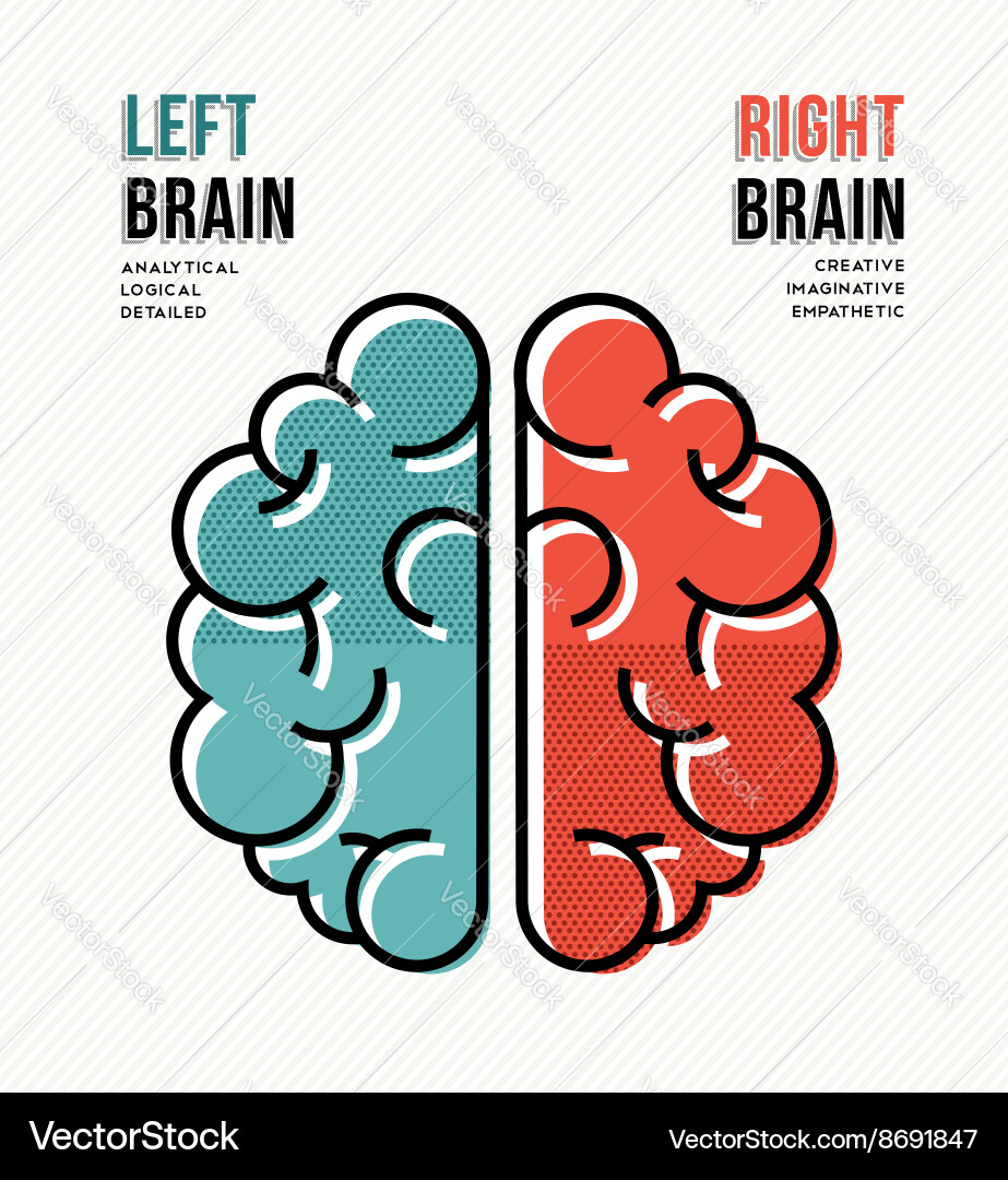 Left and Right Brain Concept Royalty Free Vector Image