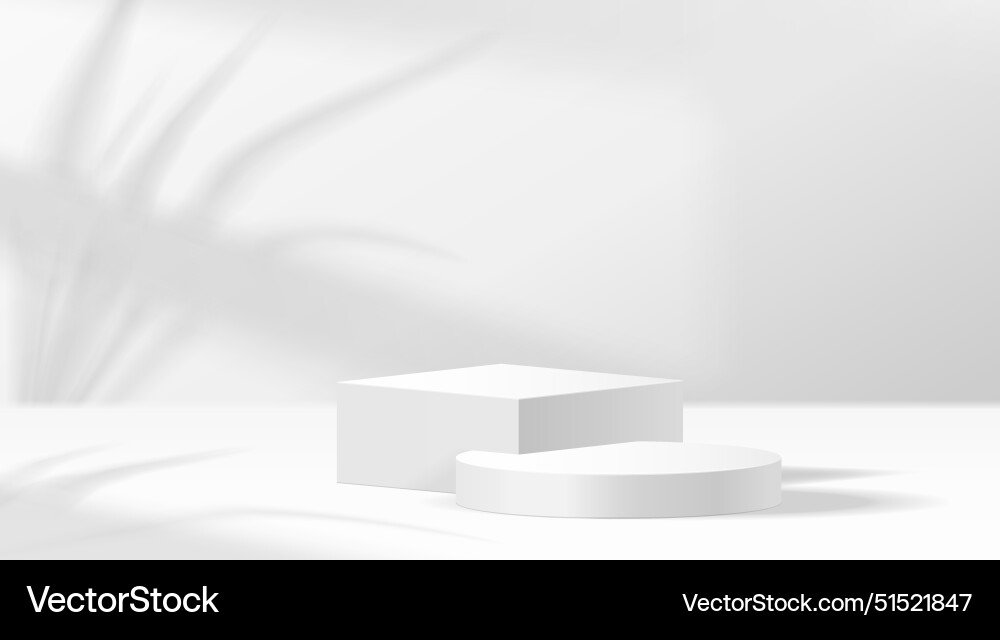 Minimal product display with palm shadow Minimal product display with palm shadow vector image