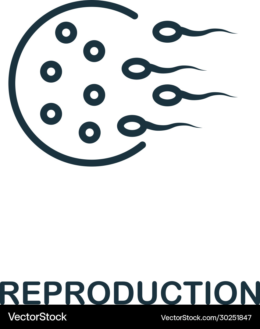Reproduction icon simple line element from Reproduction icon simple line element from vector image