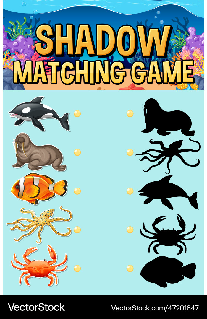 Shadow matching game template Vector Image