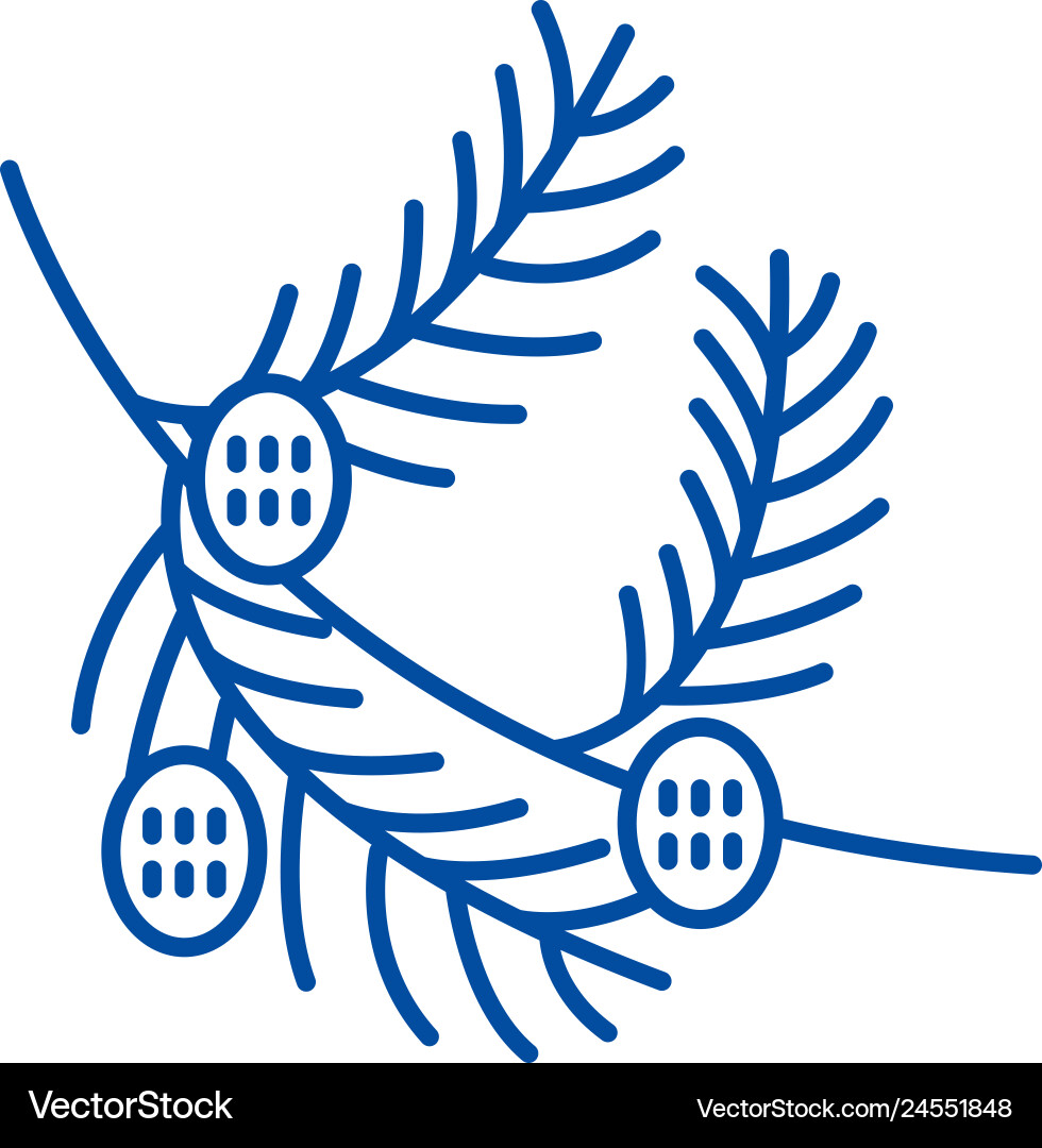 Fir tree branch with cones line icon concept Fir tree branch with cones line icon concept vector image