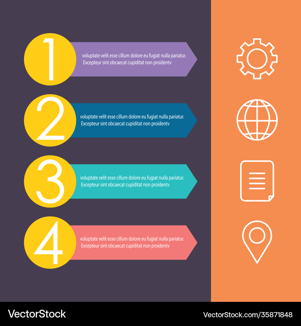Infographic design template for workflow layout vector image