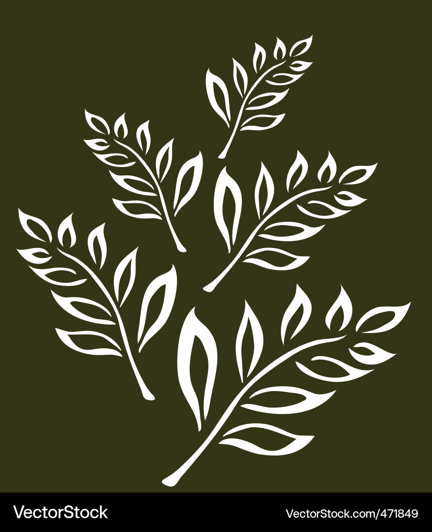 Abstract Leaf Pattern vector image