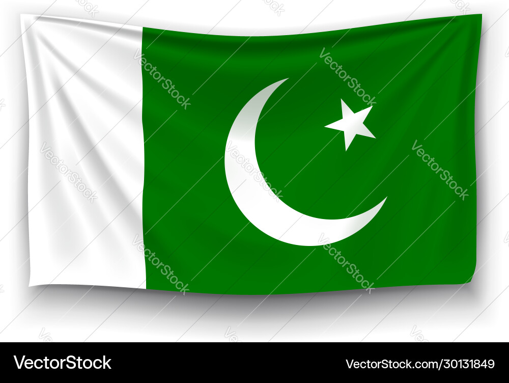 Flag pakistan Flag pakistan vector image