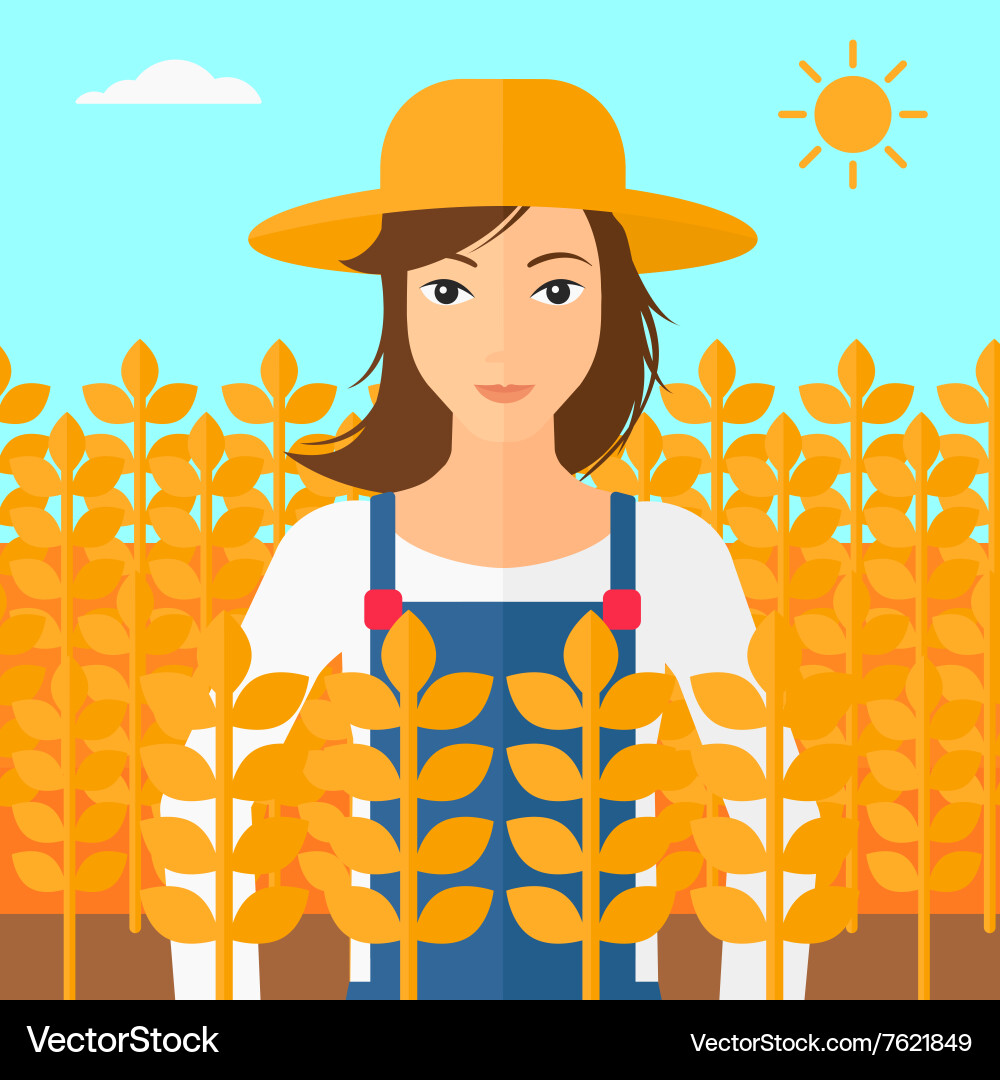 Man in wheat field Vector Image