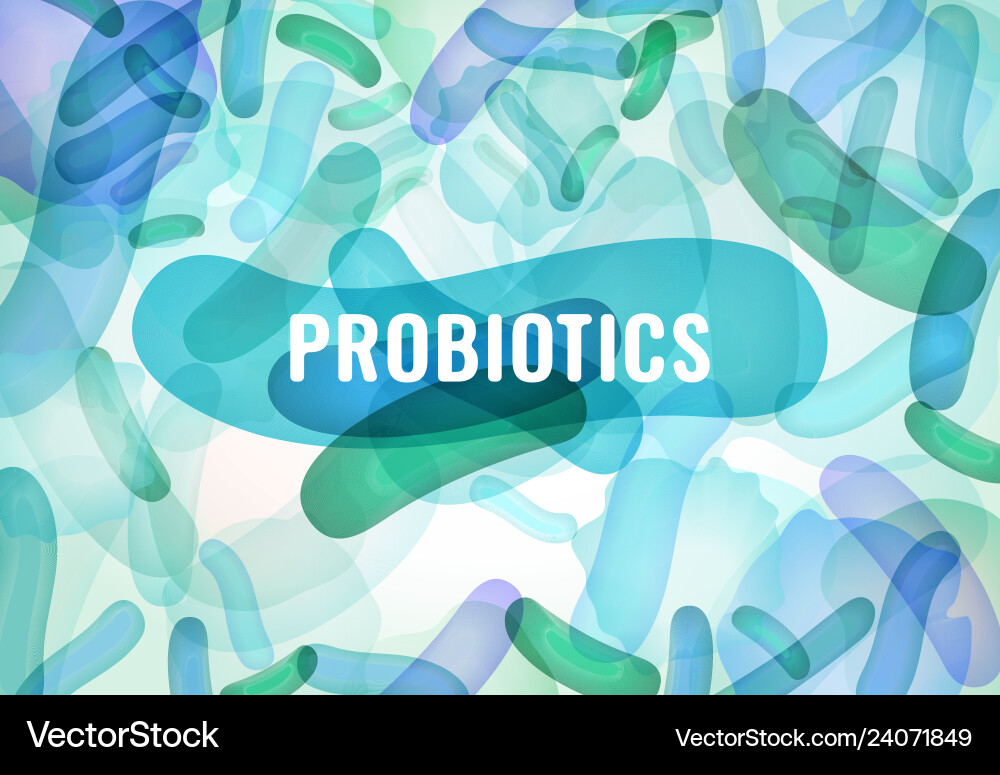 Probiotic Bacteria & Gut Health Royalty Free Vector