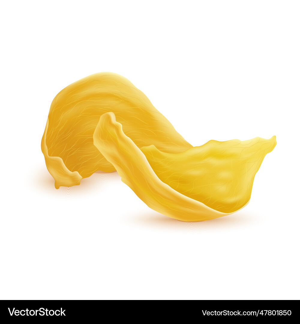Edible Swiftlet Nest Droplets - Bird's Nest Collag vector image