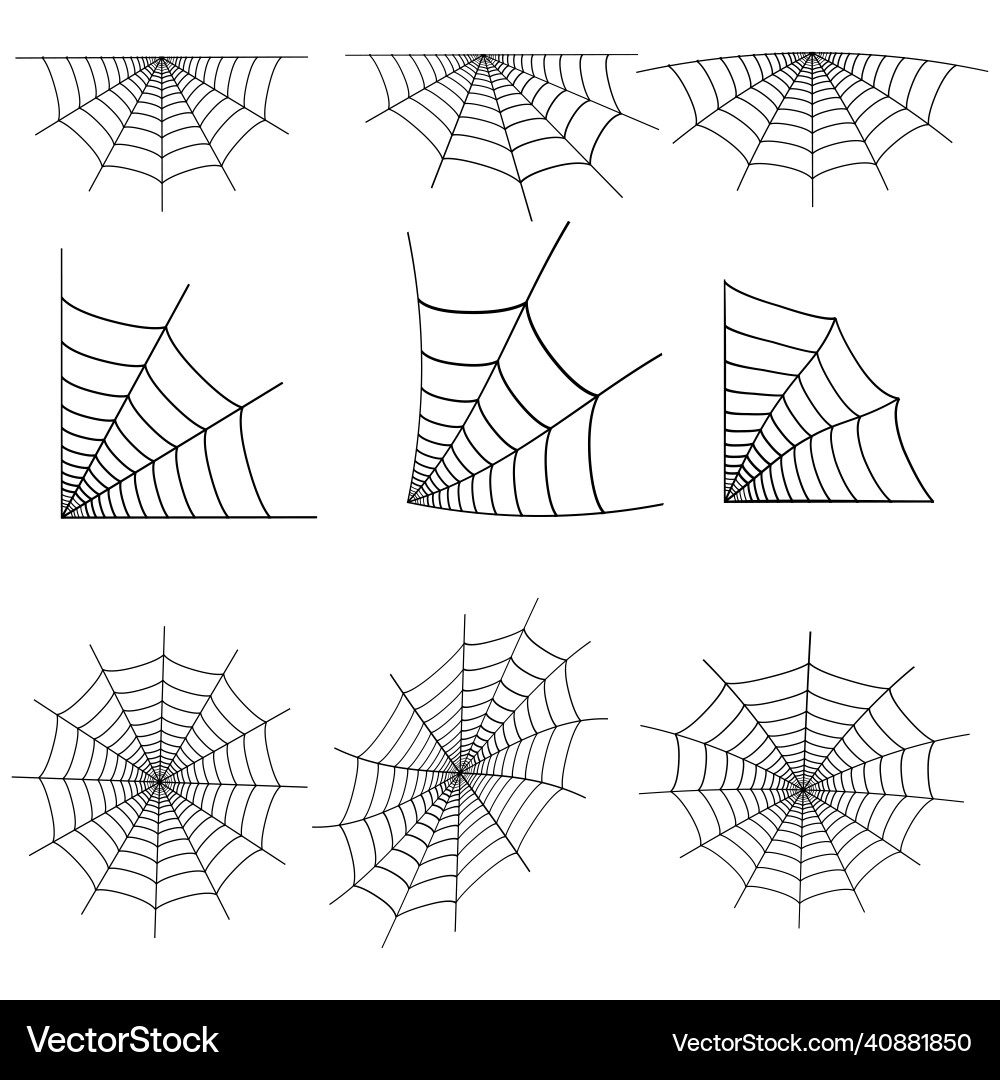 Set of web spider cobweb isolated on white Set of web spider cobweb isolated on white Vector Image