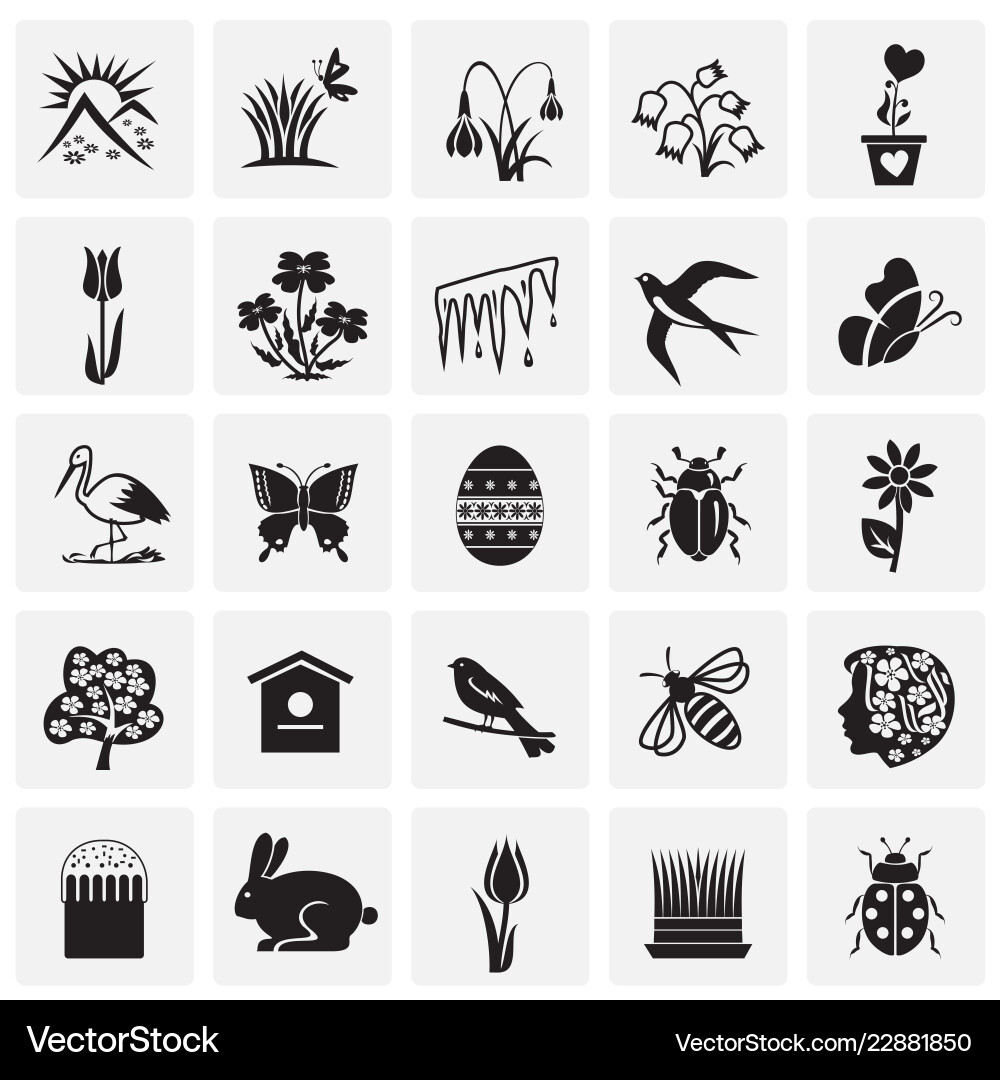 Spring set on squares background Vector Image