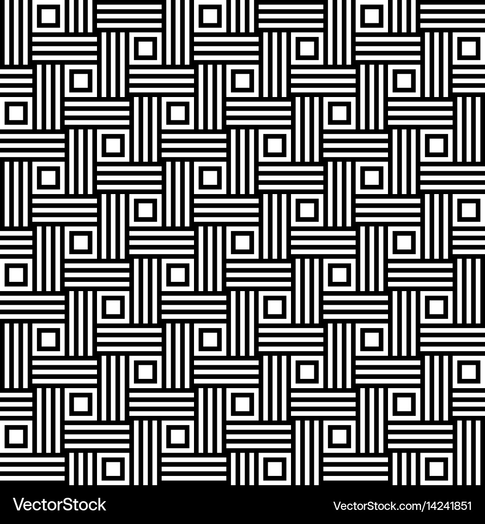 Black and White Geometric Pattern vector image