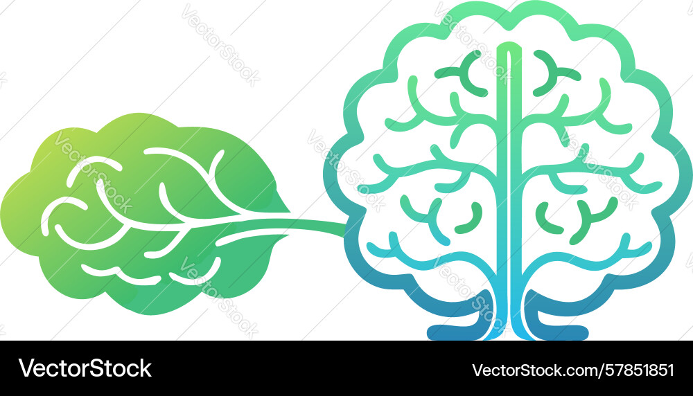 Brain connection knowledge transfer design Vector Image