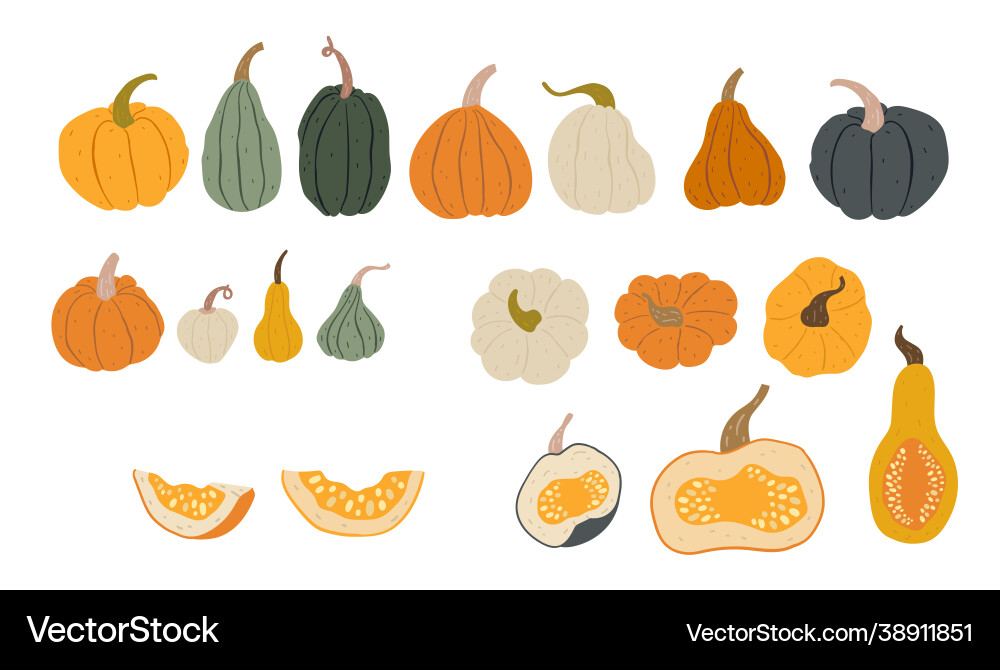 Pumpkin Patch Pattern Vector Image