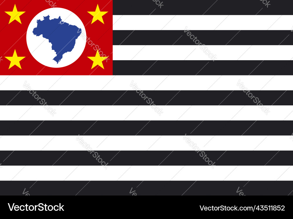 Flag of sao paulo state federative republic Flag of sao paulo state federative republic vector image