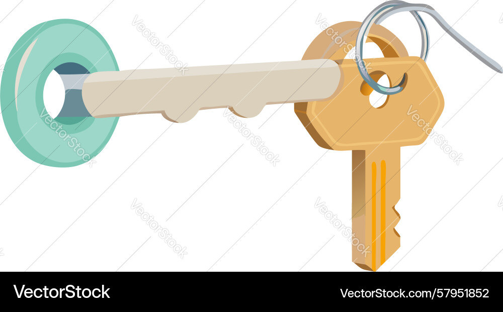 Golden Key Unlocking Circular Keyhole Vector Image