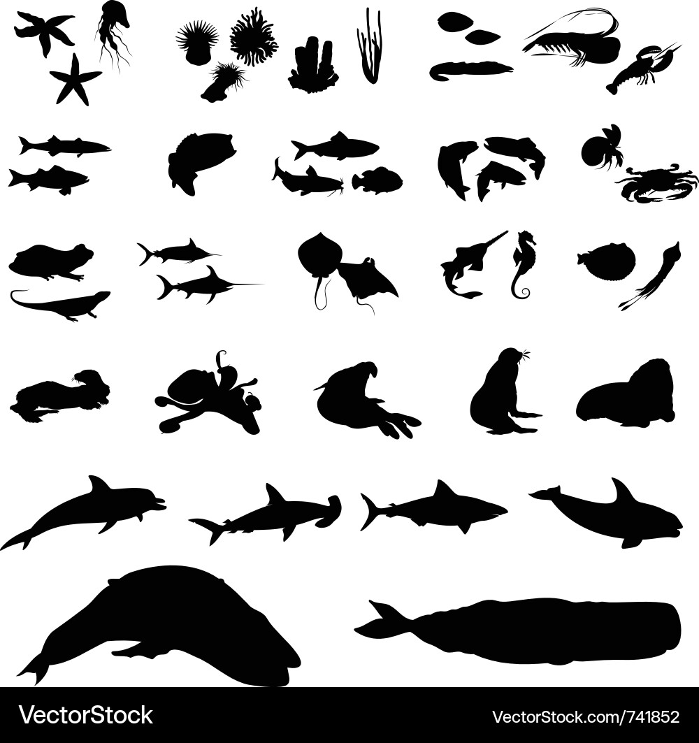 Marine Creature Silhouettes Vector Image