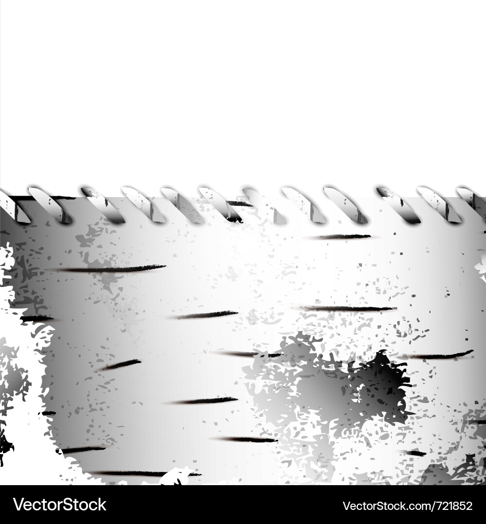Rustic Birch Frame Texture vector image