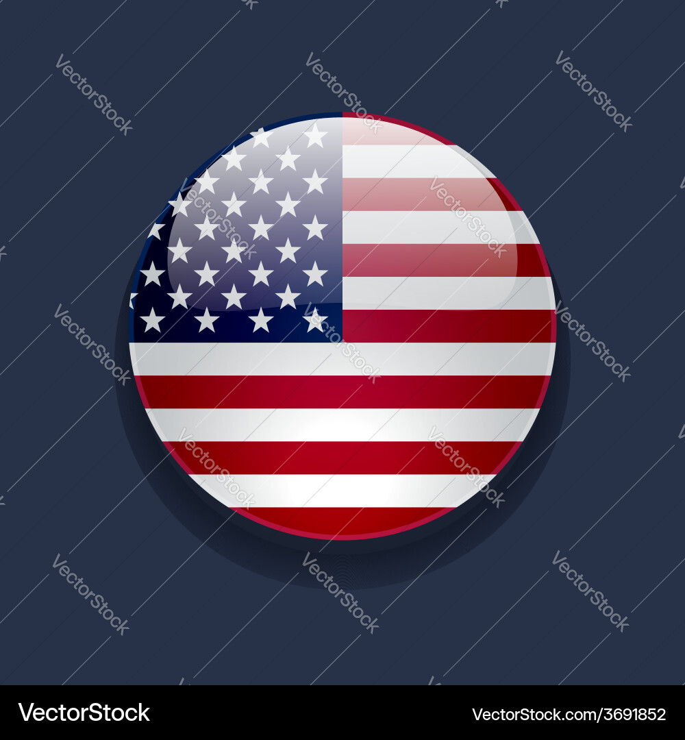 USA Flag Round Icon vector image