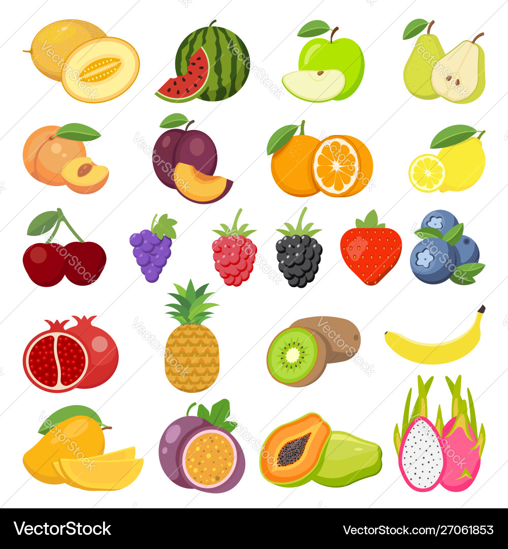 Colorful Fruit Set Vector Image