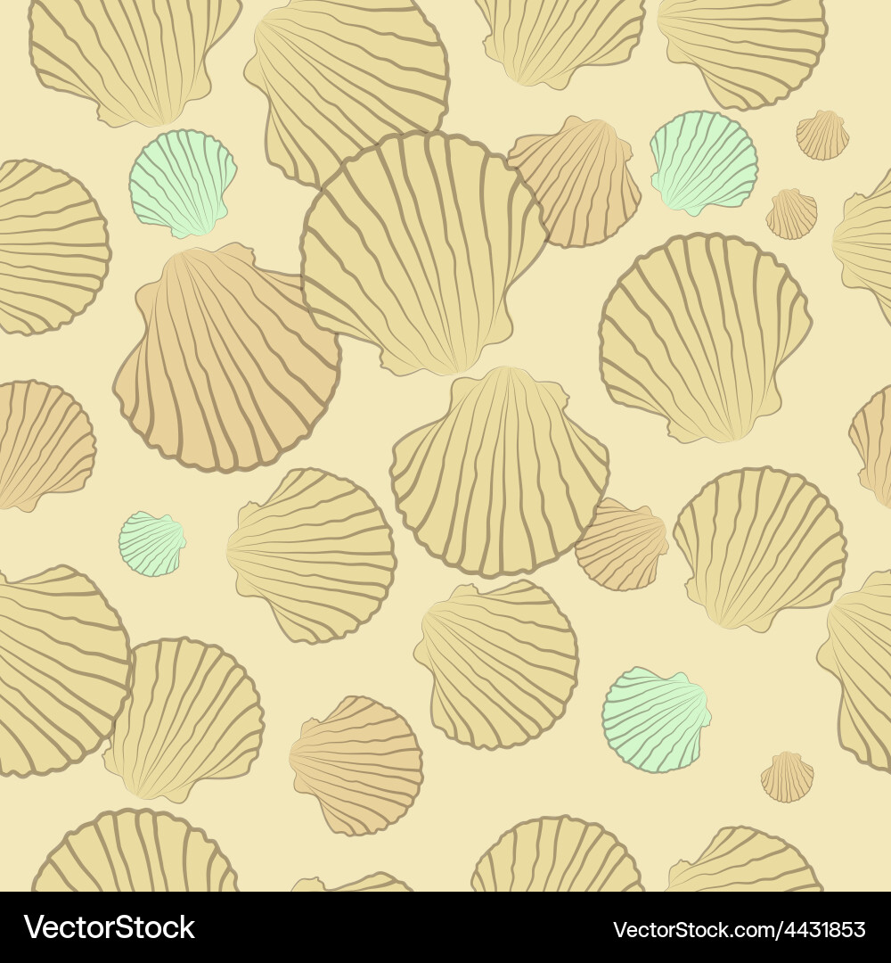 Shell pattern Vector Image