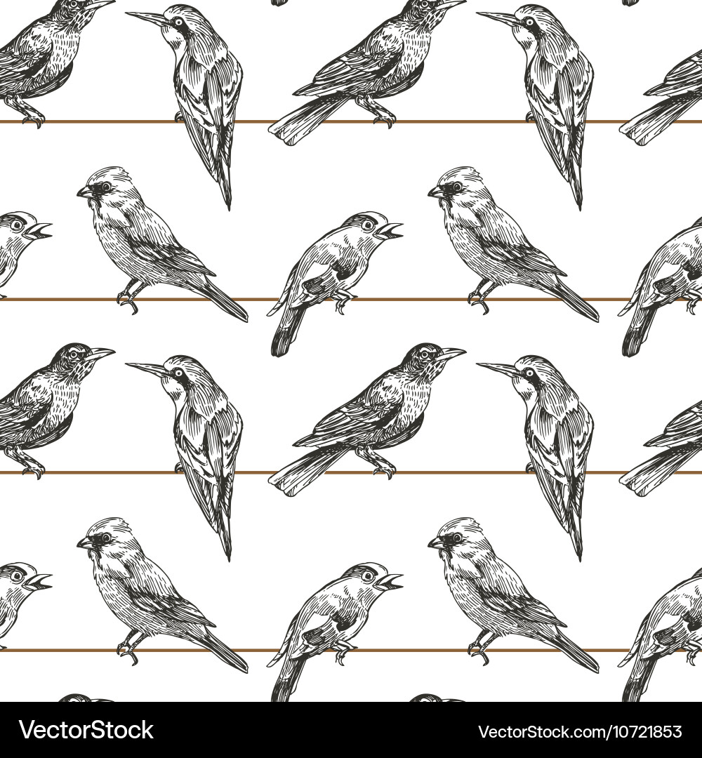 Sketchy Bird Seamless Pattern vector image