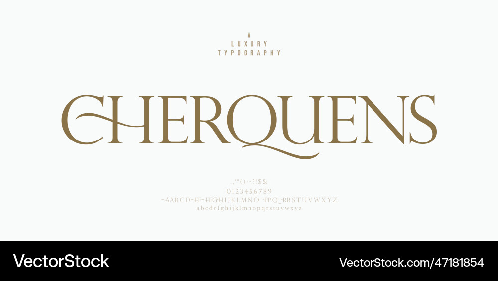 Elegant Serif Font - Luxury Lettering Vector Image