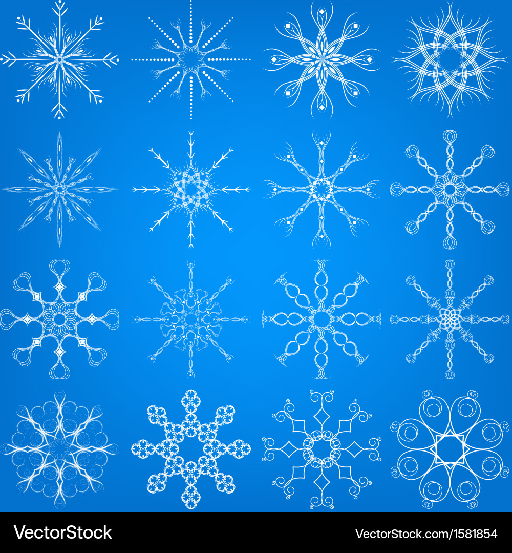 Snowflake set vector image