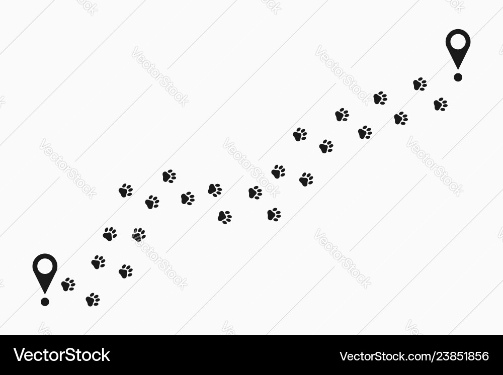 Paw tracking Paw tracking vector image