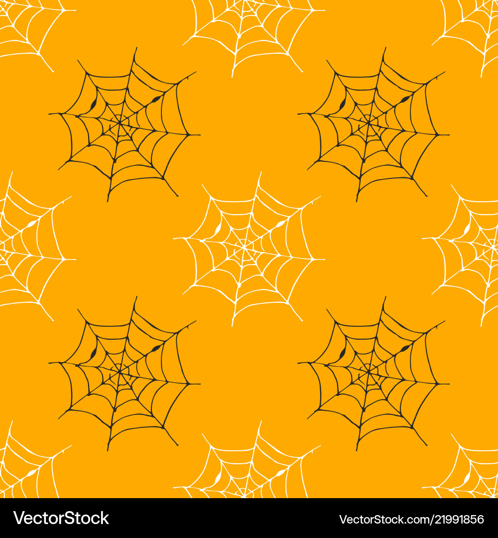 Spider Web Pattern - Hand Drawn Sketch vector image