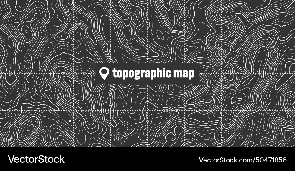 Topographic map with contour lines geographic vector image