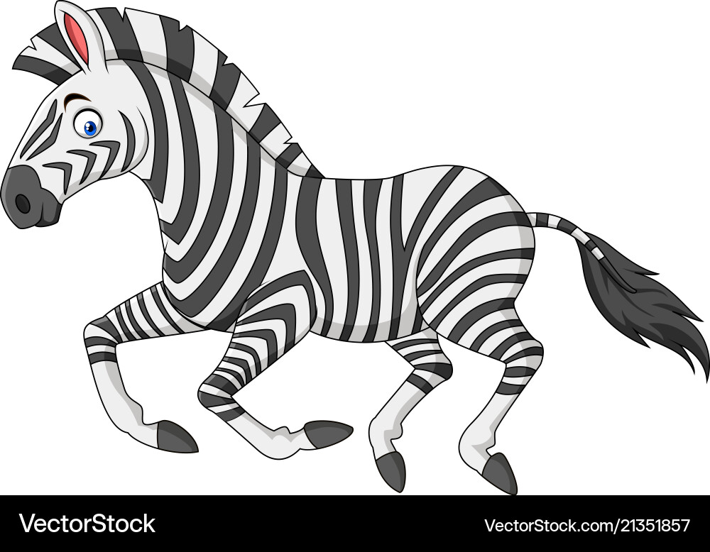 Cartoon Zebra Running in a Field vector image